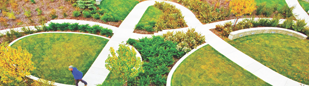 landscape design pathankot